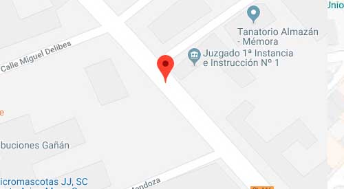 situación del registro civil de Almazán